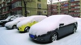 降雪天气应该如何停车？